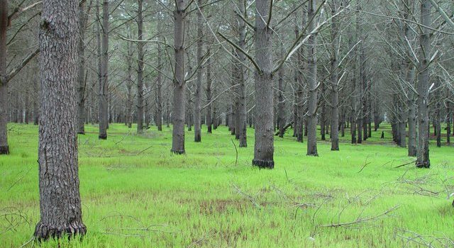 dsc20050813_115856_52